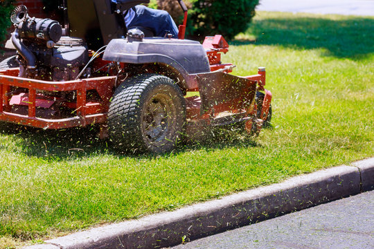 Professional lawn care service